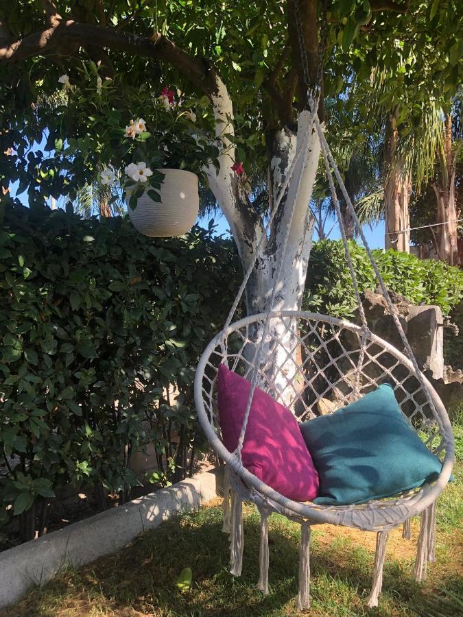B&B Green Oasis Pompeia Exterior foto